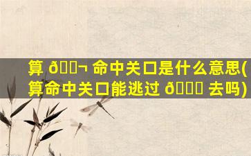 算 🐬 命中关口是什么意思(算命中关口能逃过 🐈 去吗)